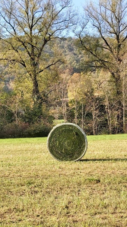 Corte Martinola Bed&Breakfast In Franciacorta Ome エクステリア 写真