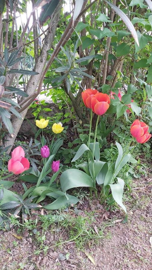 Corte Martinola Bed&Breakfast In Franciacorta Ome エクステリア 写真