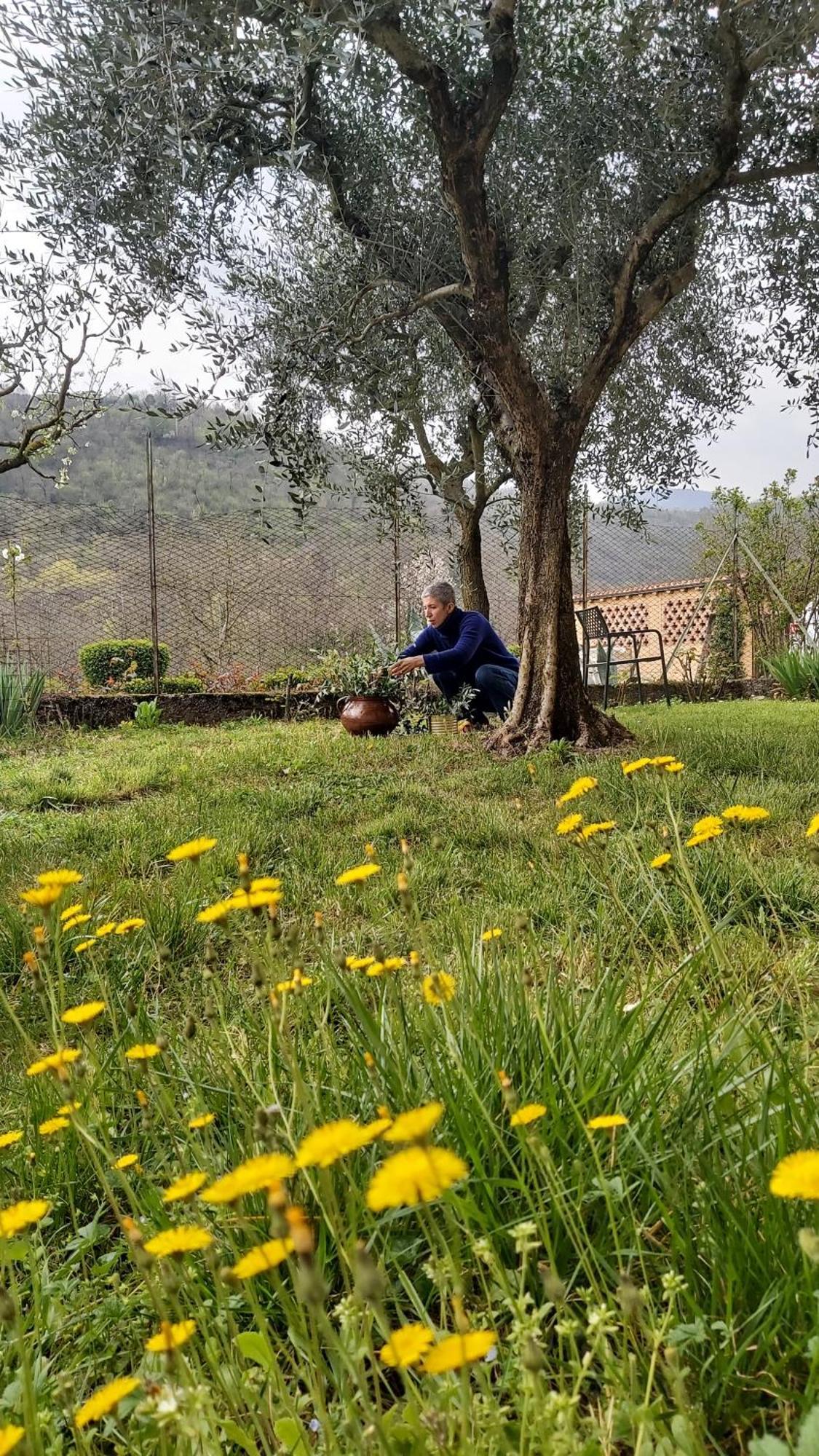 Corte Martinola Bed&Breakfast In Franciacorta Ome エクステリア 写真