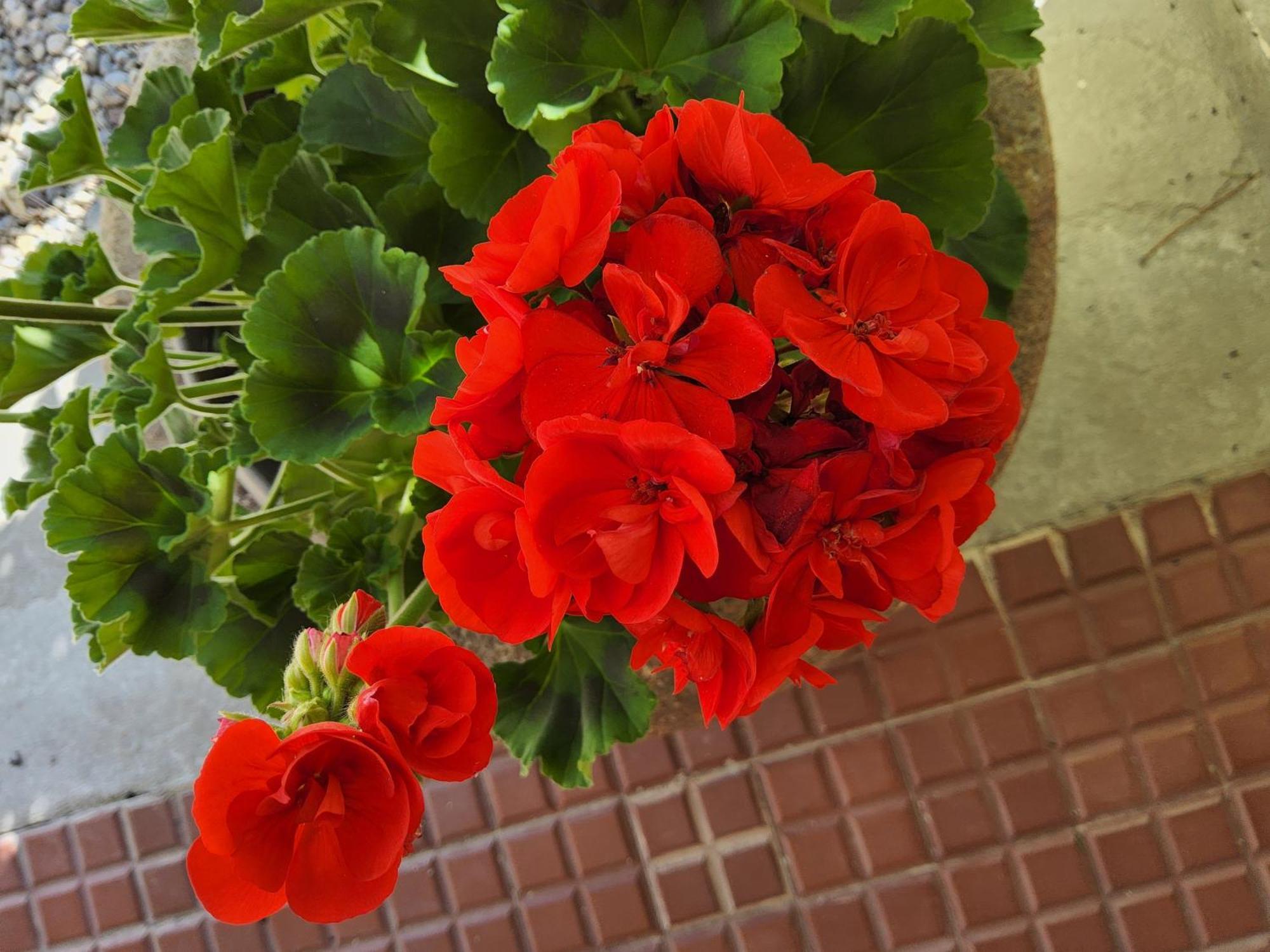 Corte Martinola Bed&Breakfast In Franciacorta Ome エクステリア 写真